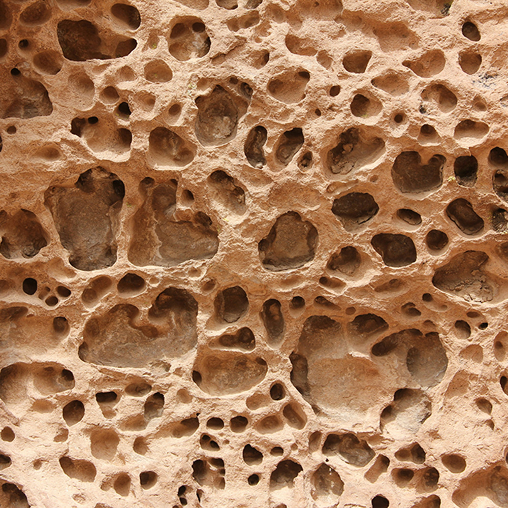 cellulosa