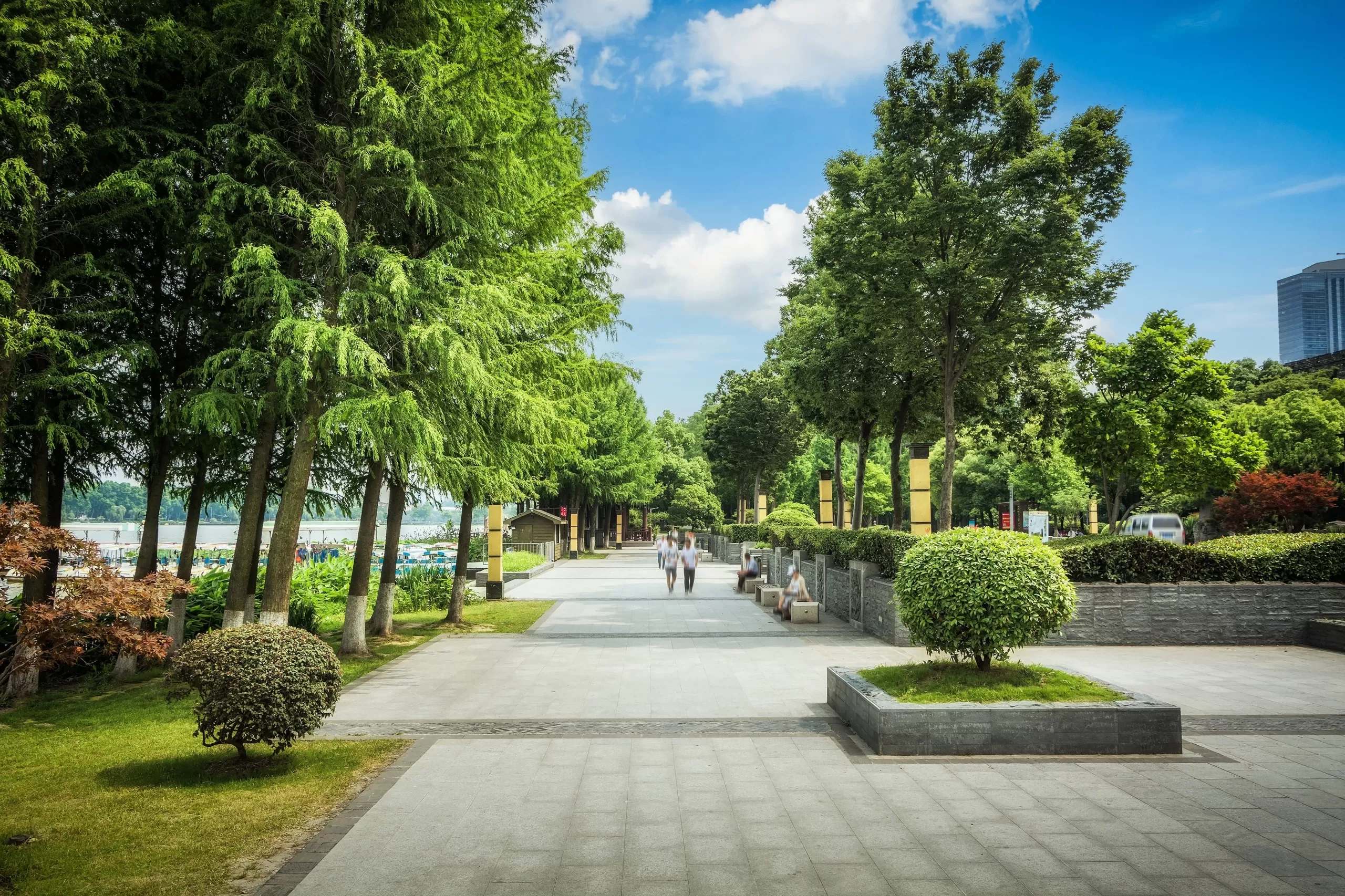 People walking in city park