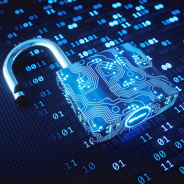 Open access network